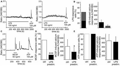 Aβ and Inflammatory Stimulus Activate Diverse Signaling Pathways in Monocytic Cells: Implications in Retaining Phagocytosis in Aβ-Laden Environment